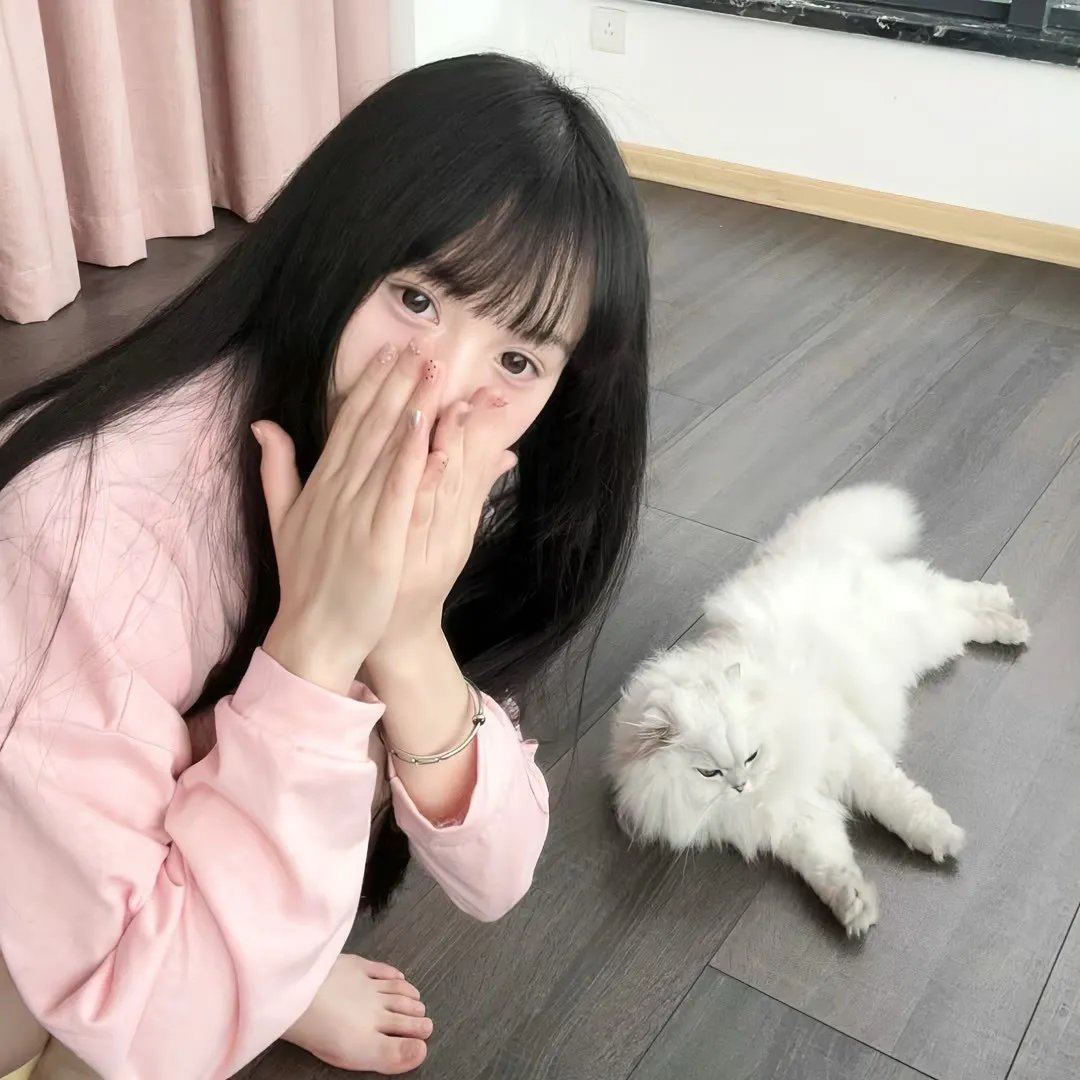 丑闻2024 在线观看